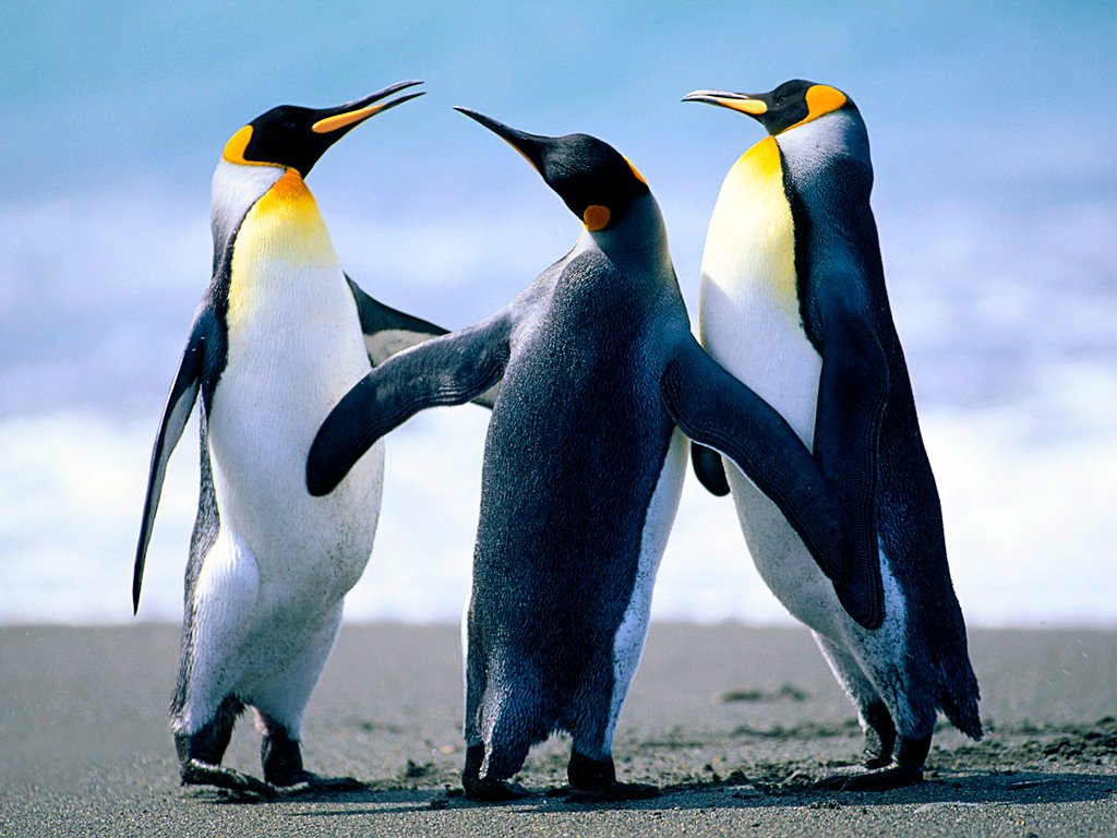 wer